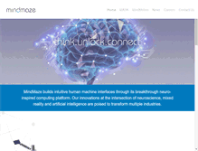 Tablet Screenshot of mindmaze.com